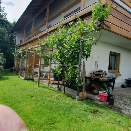 Haus Anna Apartment *