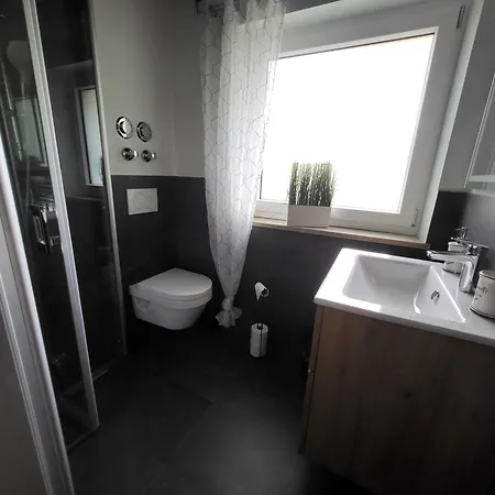 公寓 Haus Anna 博登迈斯